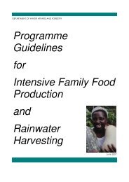 DWAF Rainwater Harvesting Guidelines - iwrm