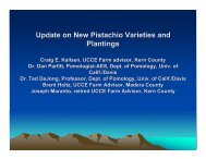 New Pistachio Varieties - Kings County