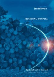 DEN/Broch/inzam biomassa/wt - BiogaS