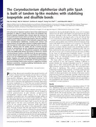 Kang et al. PNAS (2009) - Center for Nuclear Receptors and Cell ...