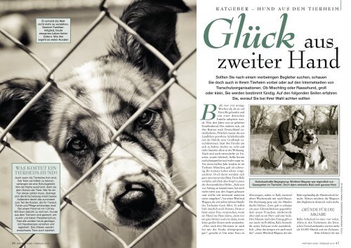 ratgeber – hund aus dem tierheim - Tierheim München