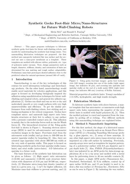 Synthetic Gecko Foot-Hair Micro/Nano-Structures for Future Wall