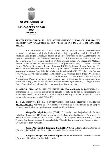 pleno de organizacion y funcionamiento del excmo. ayuntamiento ...