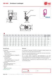 Normblatt GN 586 PDF - Ganter