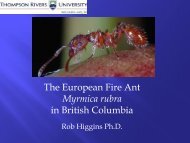 The European Fire Ant Myrmica rubra in British Columbia - Invasive ...