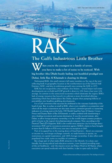 The Gulf's Industrious Little Brother RAK - intelligentinvestor.co.uk