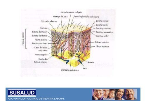 DERMATOSIS OCUPACIONAL