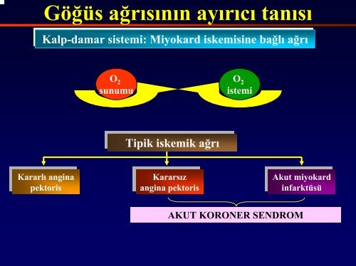 Kalp-damar sistemi