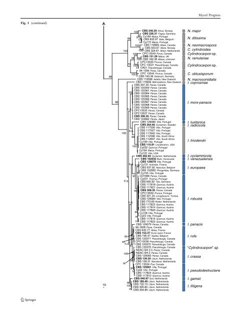 Cylindrocarpon root rot: multi-gene analysis reveals novel ... - CBS