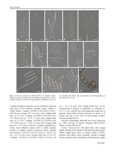 Cylindrocarpon root rot: multi-gene analysis reveals novel ... - CBS