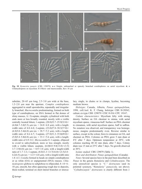 Cylindrocarpon root rot: multi-gene analysis reveals novel ... - CBS