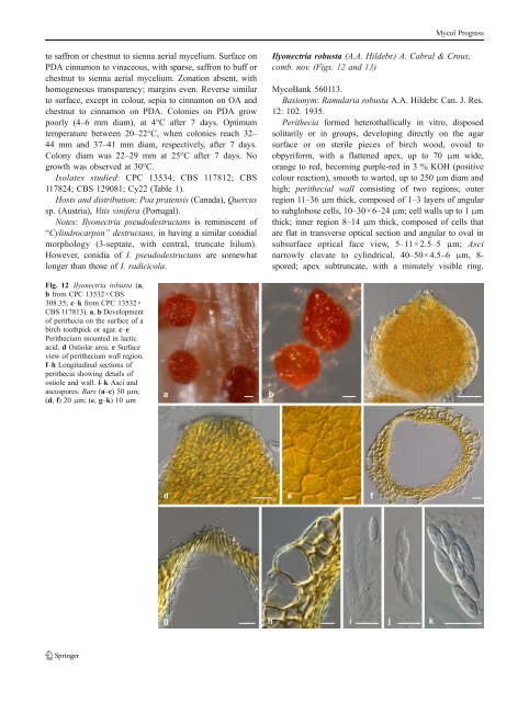 Cylindrocarpon root rot: multi-gene analysis reveals novel ... - CBS