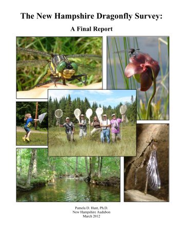 The New Hampshire Dragonfly Survey: - New Hampshire Audubon