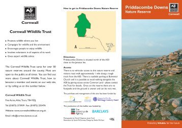 Priddacombe Downs Nature Reserve - Cornwall Wildlife Trust