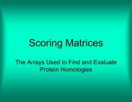 Scoring Matrices