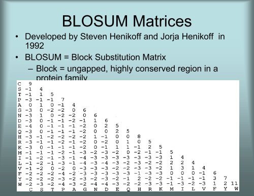 Scoring Matrices