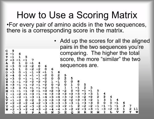 Scoring Matrices