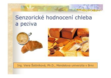 SenzorickÃ© hodnocenÃ­ chleba a peÄiva