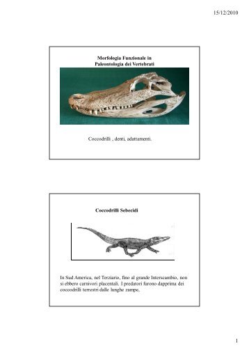 Morfologia Funzionale in Paleontologia dei Vertebrati Coccodrilli ...