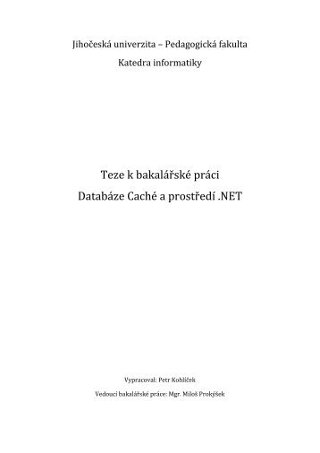 Teze k bakalářské práci Databáze Caché a prostředí .NET - eAMOS