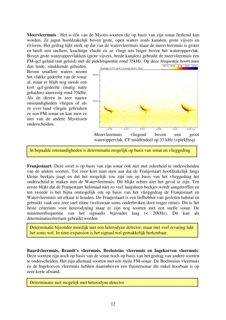 Bat-detector handleiding voor beginners - Natuurpunt