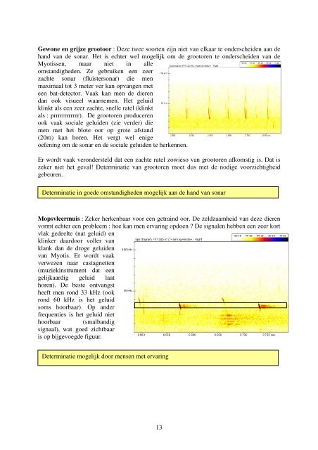 Bat-detector handleiding voor beginners - Natuurpunt