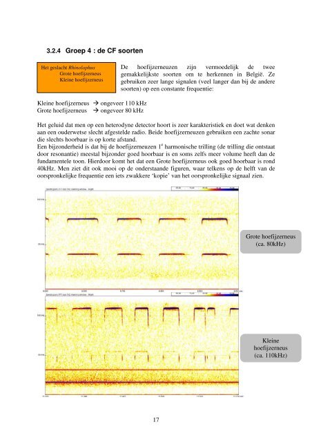 Bat-detector handleiding voor beginners - Natuurpunt