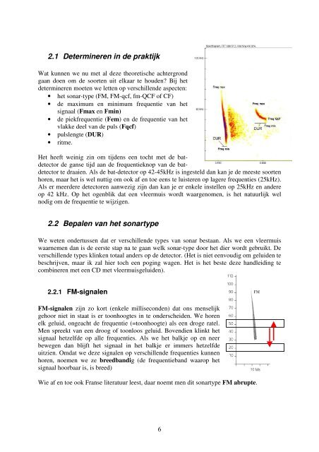 Bat-detector handleiding voor beginners - Natuurpunt