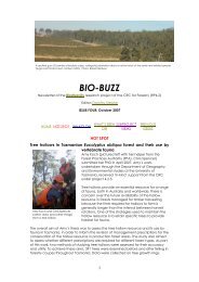 BioBuzz issue 4 - CRC for Forestry