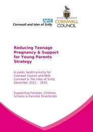 Reducing Teenage Pregnancy & Support for ... - Cornwall Council