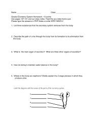 Graded Excretory System Homework 13 points Use pages 127-131 ...
