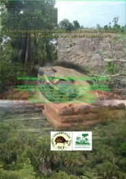 Indotestudo forstenii - Asian Turtle Conservation Network