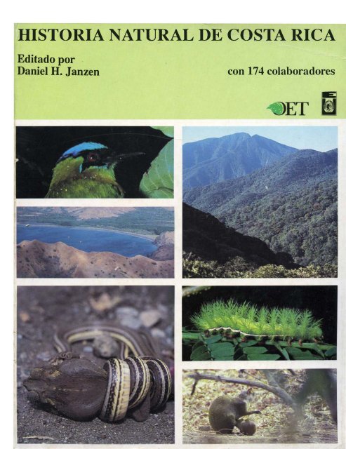 Download 9900 Koleksi Gambar Flora Dan Geometris Paling Baru Gratis HD