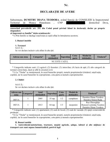 Dumitru Diana Teodora - ITM Hunedoara