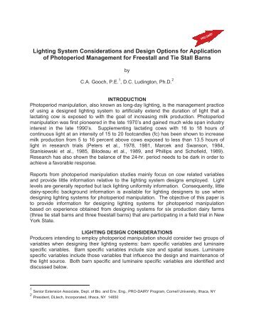 Lighting System Considerations and Design Options for Application