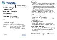 GeneRulerâ¢ 1kb DNA Ladder, ready-to-use, #SM0313