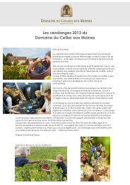 Les vendanges 2013 du Domaine du Cellier aux Moines - Transversal