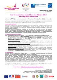Les 10 entreprises Ã©lues Stars des MÃ©tiers 2013 en Languedoc ...