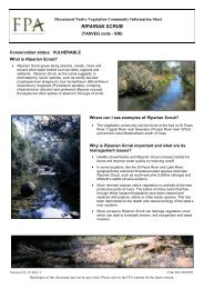 Riparian Scrub - The Forest Practices Authority