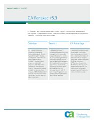 CA Panexec product brief