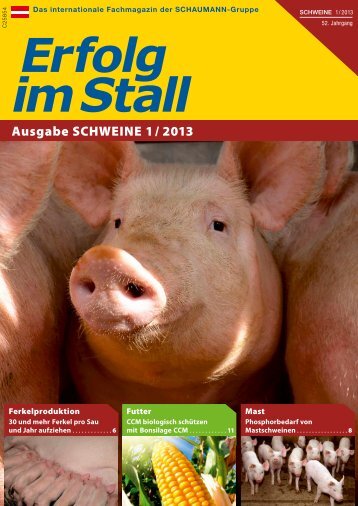 Download (pdf | 1062,84 KB) - Schaumann