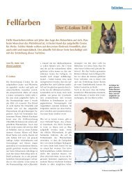 Fellfarben - Schweizer Hunde Magazin