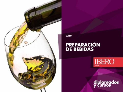 PREPARACIÓN DE BEBIDAS - Universidad Iberoamericana León