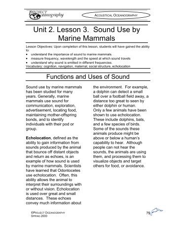 Unit 2. Lesson 3. Sound Use by Marine Mammals