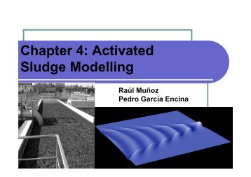 Chapter 4: Activated Sludge Modelling - IqTMA-UVa