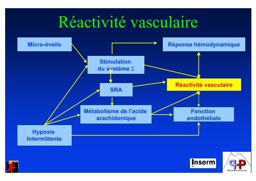 SNA et rÃ©gulation cardio-vasculaire au cours du sommeil - SPLF