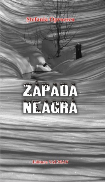 Zapada neagra - Oglinda literara