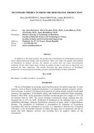 SECONDARY PRODUCTS FROM THE BIOETHANOL ...