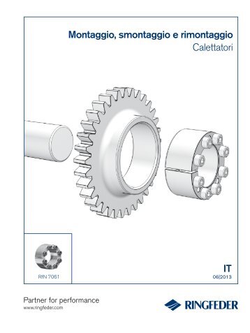 IT Montaggio, smontaggio e rimontaggio Calettatori - Ringfeder
