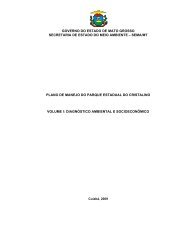 PDF PM - Sema-MT - Governo do Estado de Mato Grosso